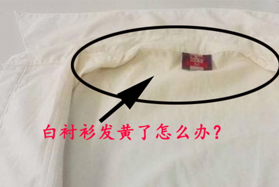 lessmore���ٶ��ƽ��������İ��r��